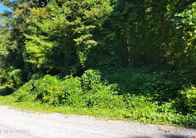 Photo 3 of Land for sale at Lot 39 Sugar Maple Way, Del Rio, TN 37727 | MLS# 1315979 | Listing updated on 2026-09-10