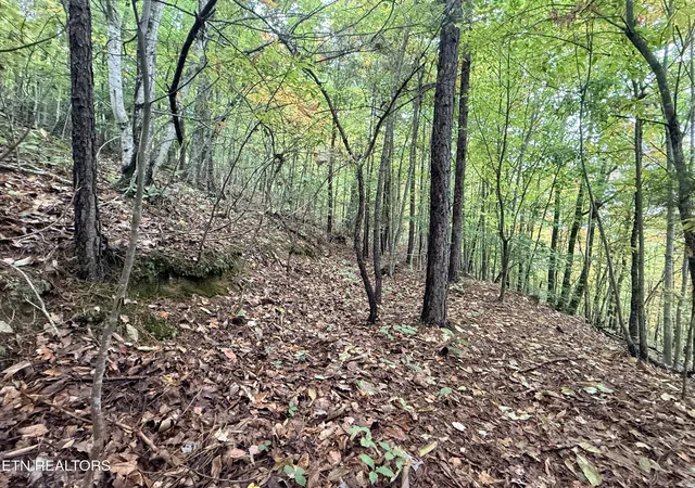 Homes for sale in New Tazewell, TN | Lot 192 Clinch View Road, New Tazewell, TN 37825 | MLS# 1316476