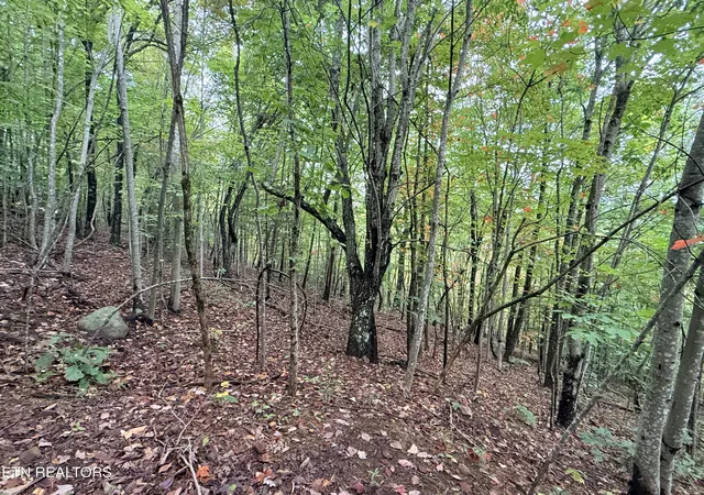 Homes for sale in New Tazewell, TN | Lot 192 Clinch View Road, New Tazewell, TN 37825 | MLS# 1316476