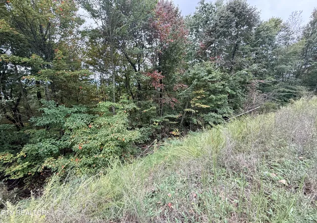 Homes for sale in New Tazewell, TN | Lot 192 Clinch View Road, New Tazewell, TN 37825 | MLS# 1316476
