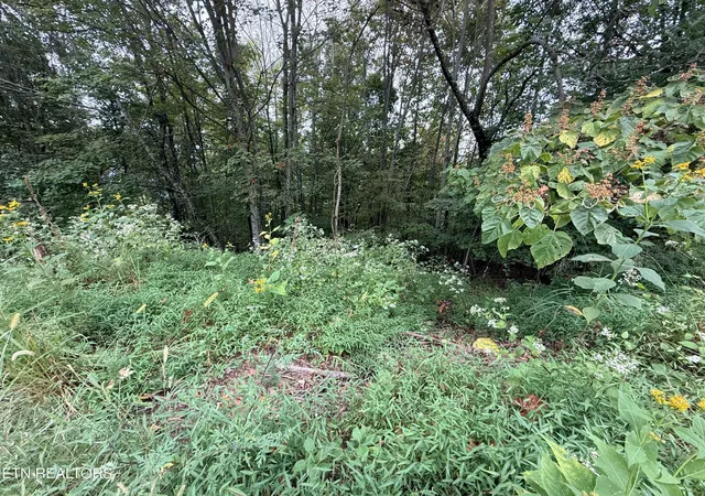 Homes for sale in New Tazewell, TN | Lot 192 Clinch View Road, New Tazewell, TN 37825 | MLS# 1316476