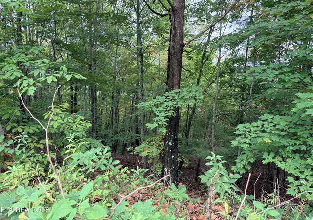Homes for sale in New Tazewell, TN | Lot 192 Clinch View Road, New Tazewell, TN 37825 | MLS# 1316476