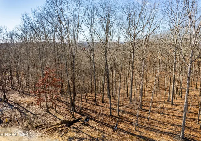 image of 2501 Old Dogwood Tr, Loudon, TN 37774 | MLS# 1316246