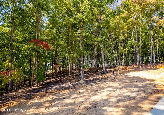 image of 2501 Old Dogwood Tr, Loudon, TN 37774 | MLS# 1316246