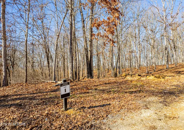 image of 2501 Old Dogwood Tr, Loudon, TN 37774 | MLS# 1316246