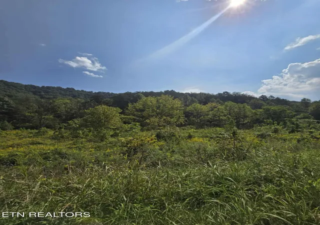 Homes for sale in Rogersville, TN | 621 Butcher Valley Rd Rd, Rogersville, TN 37857 | MLS# 1316345