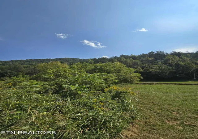 Homes for sale in Rogersville, TN | 621 Butcher Valley Rd Rd, Rogersville, TN 37857 | MLS# 1316345