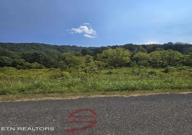 Homes for sale in Rogersville, TN | 621 Butcher Valley Rd Rd, Rogersville, TN 37857 | MLS# 1316345