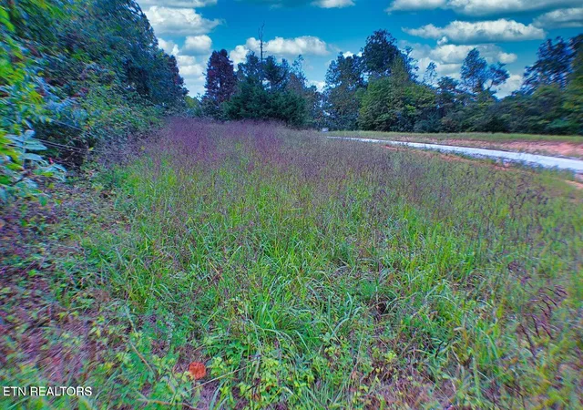 Photo 2 of Sale Pending at Clearwater View Ln, La Follette, TN 37766 | MLS# 1317048 | Listing updated on 2026-08-20