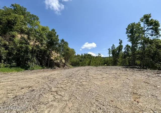 4th image of 00 Sandlick Rd, Saint Charles, VA 24282 | MLS# 1317281