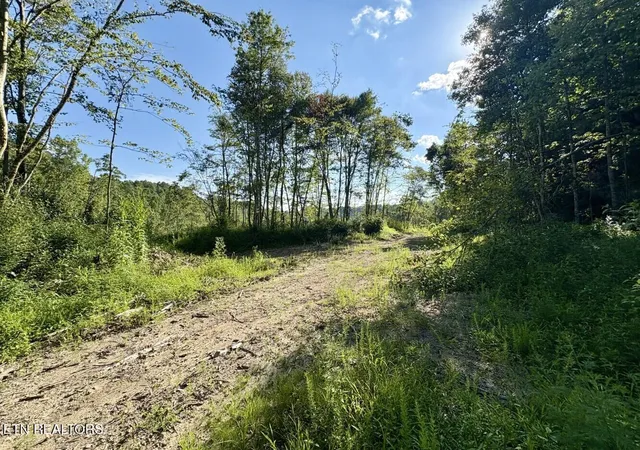 5th image of 00 Sandlick Rd, Saint Charles, VA 24282 | MLS# 1317281