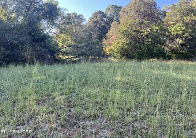 Photo 1 of Land for sale at Lot 34 Goodfield Ter, Decatur, TN 37322 | MLS# 1317539 | Listing updated on 2026-09-28