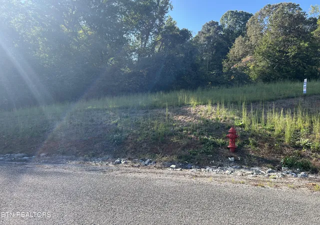 Photo 3 of Land for sale at Lot 34 Goodfield Ter, Decatur, TN 37322 | MLS# 1317539 | Listing updated on 2026-09-28
