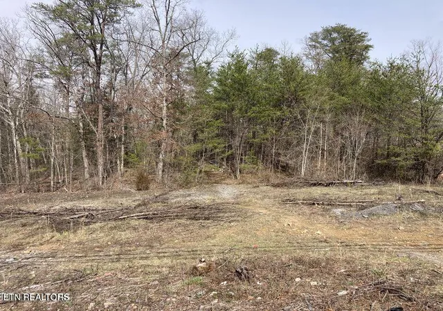 Photo 3 of Land for sale at 48 N Ac Main St, Crossville, TN 38555 | MLS# 1317852 | Listing updated on 2026-04-28