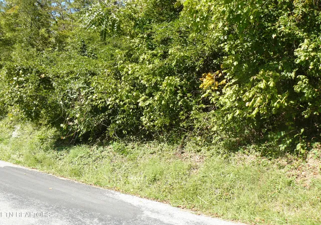 1st image of Lower Caney Valley Rd, Tazewell, TN 37879 | MLS# 1317882