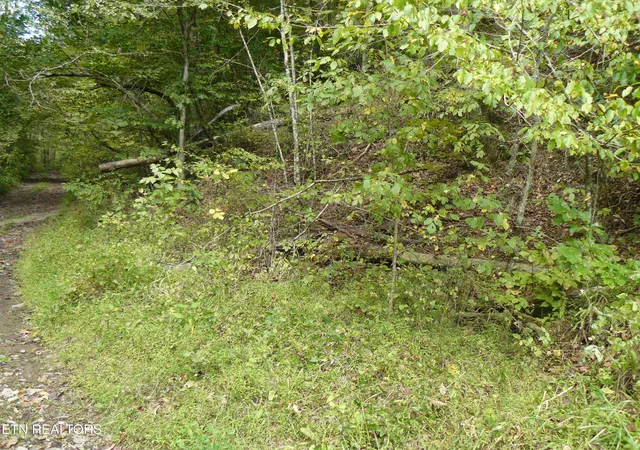 2nd image of Lower Caney Valley Rd, Tazewell, TN 37879 | MLS# 1317882