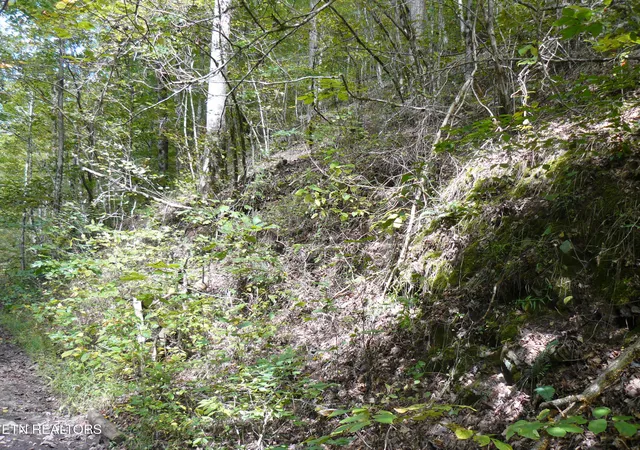 4th image of Lower Caney Valley Rd, Tazewell, TN 37879 | MLS# 1317882