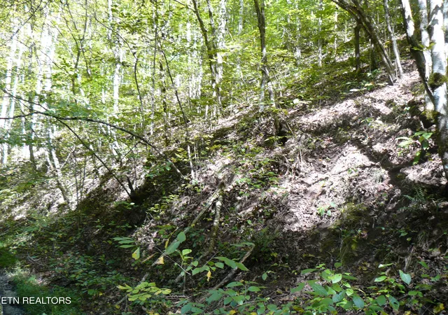 5th image of Lower Caney Valley Rd, Tazewell, TN 37879 | MLS# 1317882