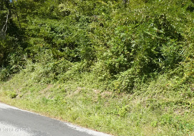 7th image of Lower Caney Valley Rd, Tazewell, TN 37879 | MLS# 1317882