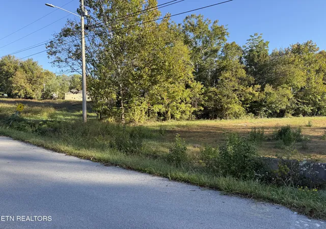 Homes for sale in Livingston, TN | 410 W Broad St, Livingston, TN 38570 | MLS# 1318529