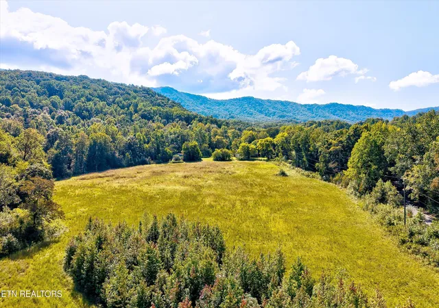 5th image of Sauls Rd, Seymour, TN 37865 | MLS# 1318253
