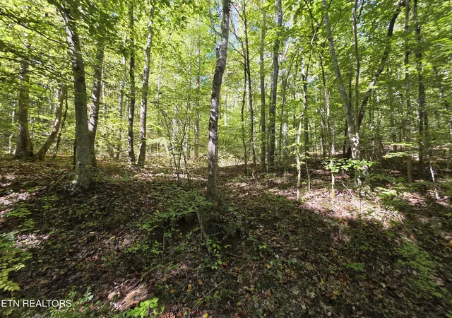 2nd image of Tuskegee Dr, Oak Ridge, TN 37830 | MLS# 1318605