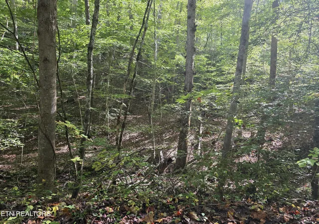 3rd image of Tuskegee Dr, Oak Ridge, TN 37830 | MLS# 1318605