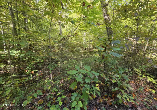 4th image of Tuskegee Dr, Oak Ridge, TN 37830 | MLS# 1318605