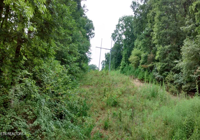 5th image of Tuskegee Dr, Oak Ridge, TN 37830 | MLS# 1318605