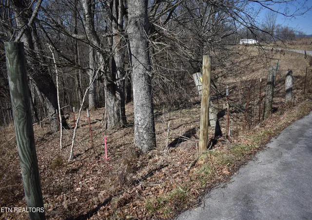 2nd image of 787 Oak Grove Rd, Harrogate, TN 37752 | MLS# 1318638