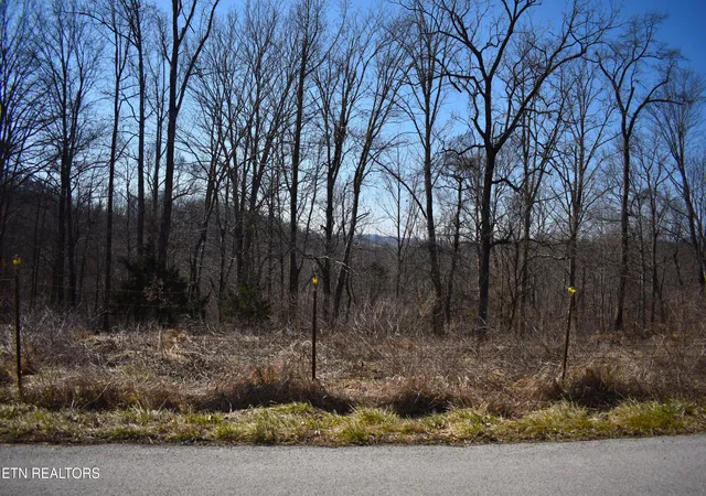 5th image of 787 Oak Grove Rd, Harrogate, TN 37752 | MLS# 1318638