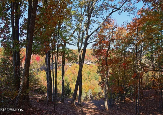 Photo 3 of Land for sale at Lot 17 Emerald Dr, Monterey, TN 38574 | MLS# 1319684 | Listing updated on 2026-03-31