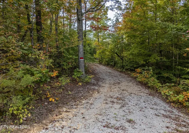 Photo 3 of Land for sale at 592 Cumberland Cvs Rd, Monterey, TN 38574 | MLS# 1319300 | Listing updated on 2025-11-30