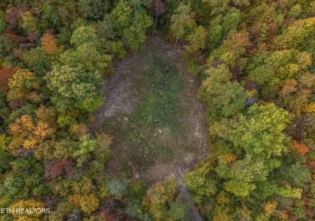 5th image of 592 Cumberland Cove Rd, Monterey, TN 38574 | MLS# 1319300