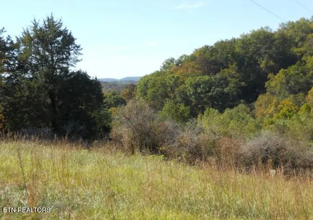 Photo 2 of Land for sale at 0 French Rd, Knoxville, TN 37920 | MLS# 1319144 | Listing updated on 2026-04-14