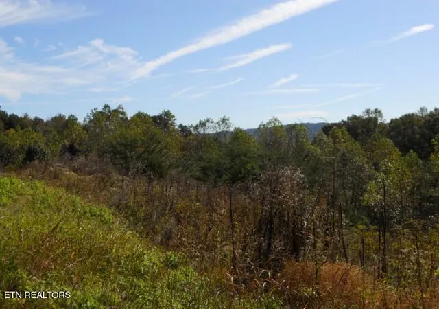Photo 3 of Land for sale at 0 French Rd, Knoxville, TN 37920 | MLS# 1319144 | Listing updated on 2026-04-14