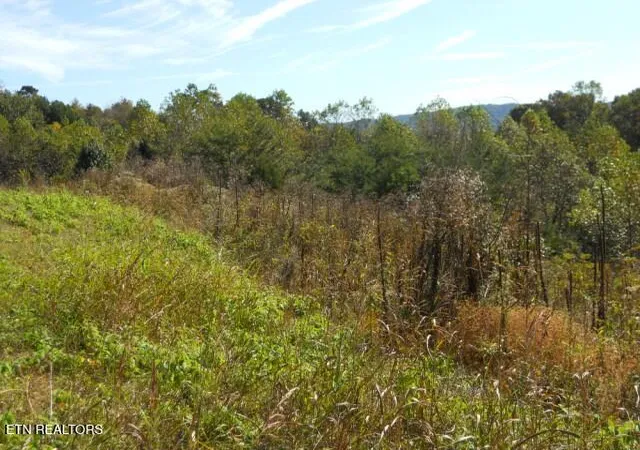 Photo 3 of Land for sale at 0 French Rd, Knoxville, TN 37920 | MLS# 1319144 | Listing updated on 2026-04-14