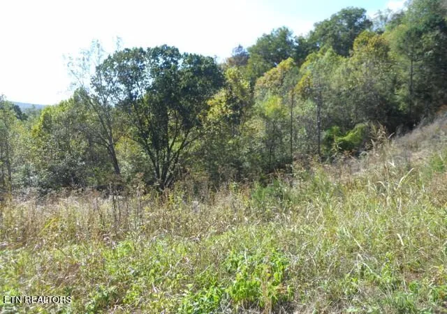 Photo 4 of Land for sale at 0 French Rd, Knoxville, TN 37920 | MLS# 1319144 | Listing updated on 2026-04-14