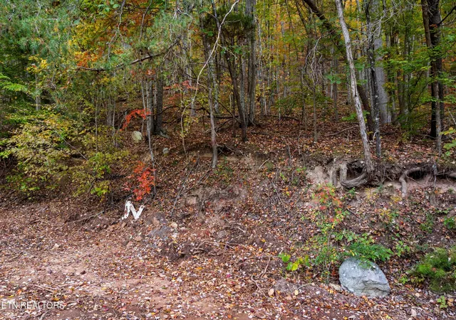 Photo 3 of Land for sale at 0 Clouds Crk Rd, Rogersville, TN 37857 | MLS# 1319799 | Listing updated on 2026-05-13