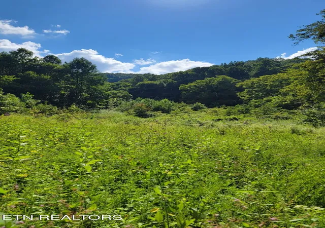Photo 4 of Land for sale at 0 Clouds Crk Rd, Rogersville, TN 37857 | MLS# 1319799 | Listing updated on 2026-05-13