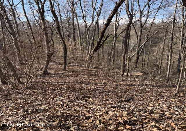 3rd image of 819 Jama Wy, Maryville, TN 37803 | MLS# 1333587