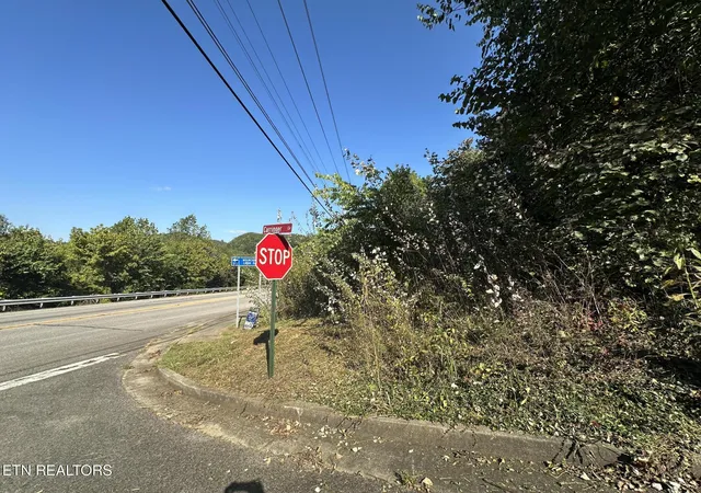 3rd image of Carringer Cir, Tellico Plains, TN 37385 | MLS# 1319592