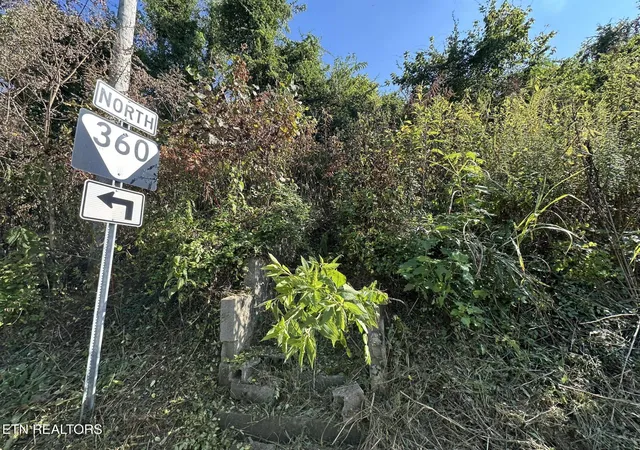 4th image of Carringer Cir, Tellico Plains, TN 37385 | MLS# 1319592