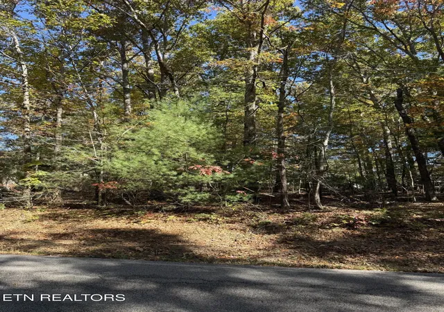 Photo 2 of Land for sale at 229 St George Dr, Crossville, TN 38558 | MLS# 1319731 | Listing updated on 2026-03-23