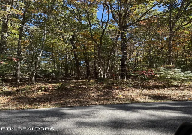 Photo 3 of Land for sale at 229 St George Dr, Crossville, TN 38558 | MLS# 1319731 | Listing updated on 2026-03-23