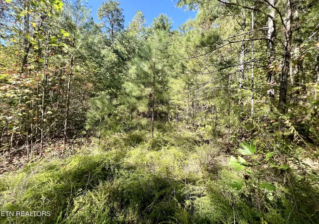 Photo 1 of Land for sale at 561 Acres Crk Holw Way, Sevierville, TN 37876 | MLS# 1320088 | Listing updated on 2026-10-16