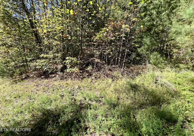 Photo 3 of Land for sale at 561 Acres Crk Holw Way, Sevierville, TN 37876 | MLS# 1320088 | Listing updated on 2026-10-16