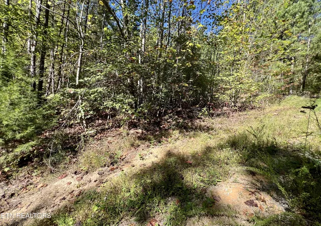 Photo 4 of Land for sale at 561 Acres Crk Holw Way, Sevierville, TN 37876 | MLS# 1320088 | Listing updated on 2026-10-16