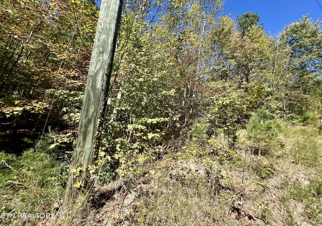 Photo 1 of Land for sale at 6 Acres Crk Holw Way, Sevierville, TN 37876 | MLS# 1320087 | Listing updated on 2026-10-16