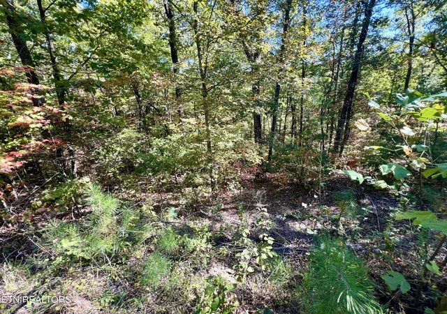 Photo 2 of Land for sale at 6 Acres Crk Holw Way, Sevierville, TN 37876 | MLS# 1320087 | Listing updated on 2026-10-16